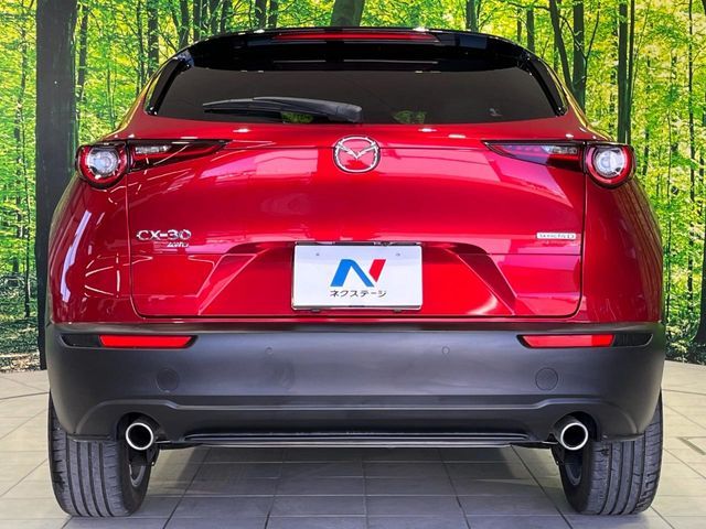 CX-30
