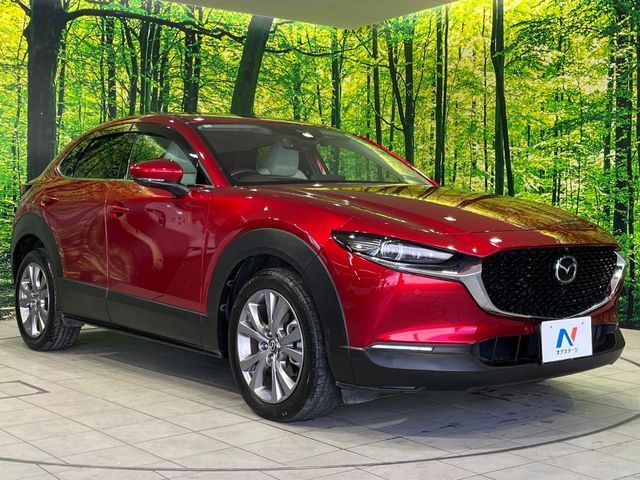 CX-30