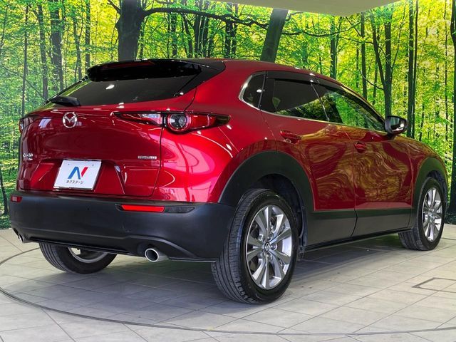 CX-30