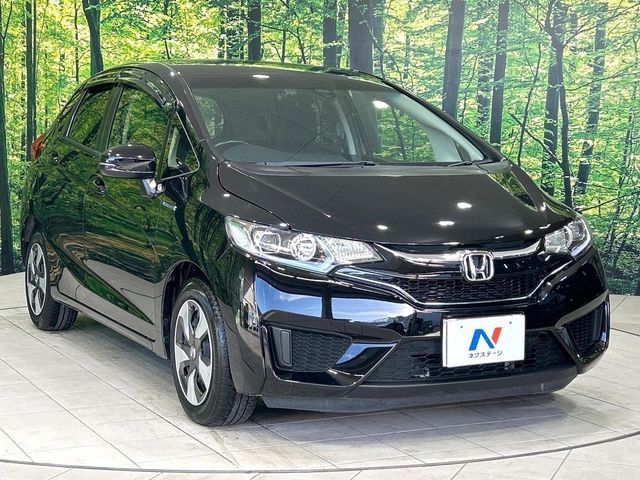 FIT HYBRID