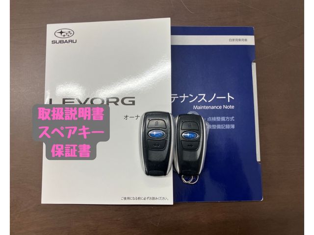 LEVORG