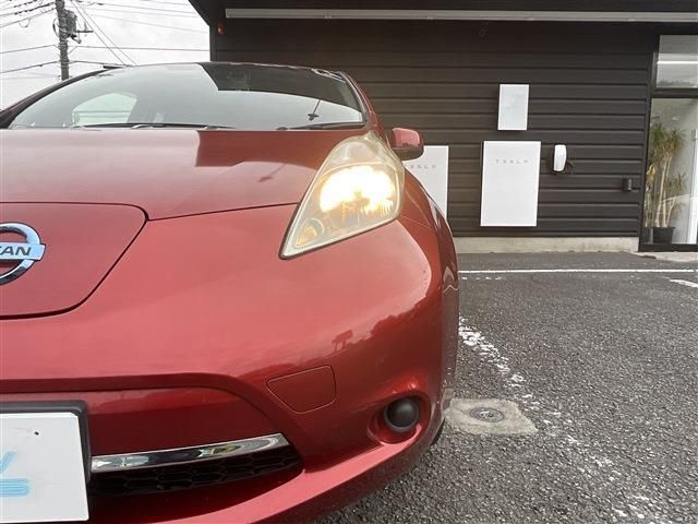 LEAF