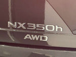LEXUS NX350h AWD