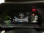 RAIZE HYBRID
