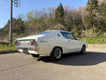 SKYLINE