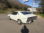 SKYLINE
