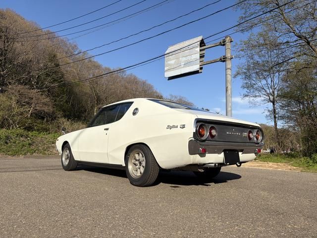 SKYLINE