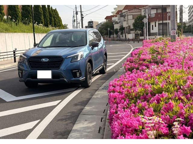 FORESTER