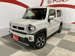HUSTLER 4WD