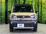 HUSTLER 4WD