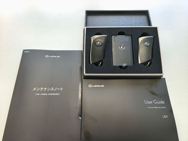 LEXUS LBX