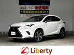 LEXUS NX300h