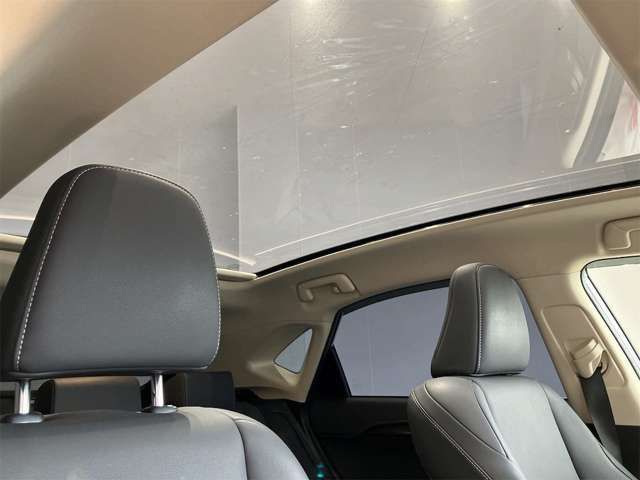 LEXUS NX300h