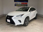 LEXUS NX300h