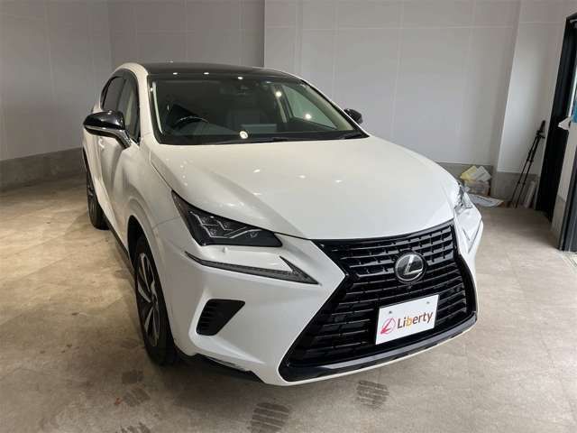 LEXUS NX300h