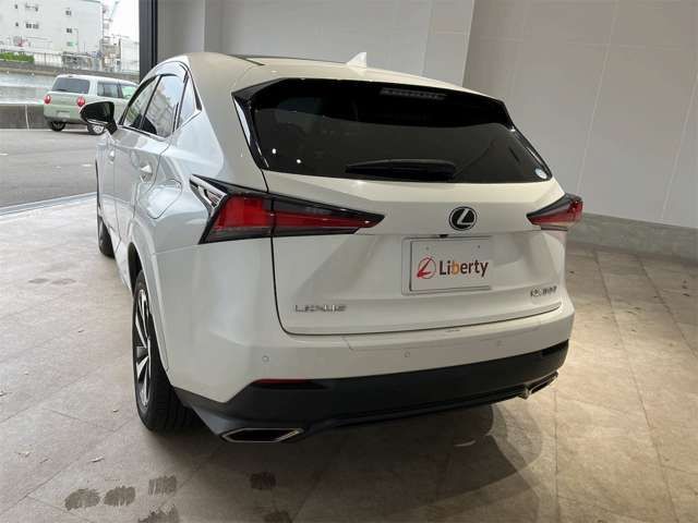 LEXUS NX300h