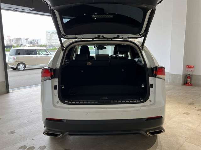 LEXUS NX300h