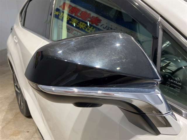 LEXUS NX300h