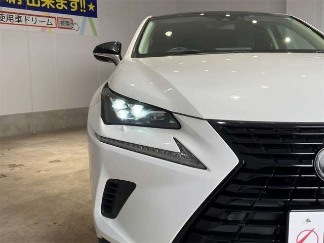 LEXUS NX300h