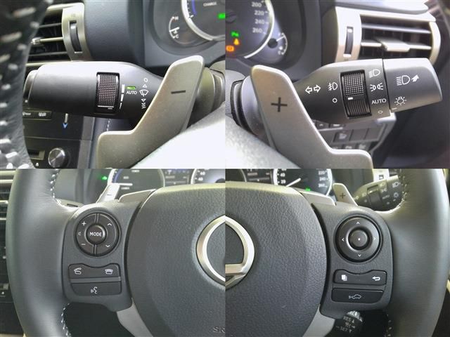 LEXUS IS300h