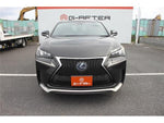 LEXUS NX300h