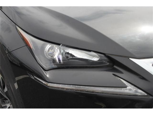 LEXUS NX300h