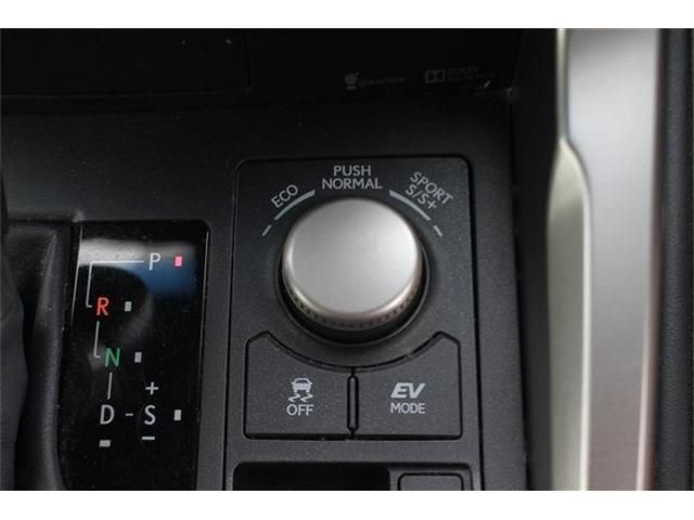 LEXUS NX300h