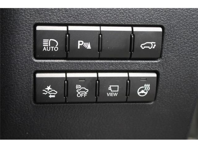 LEXUS NX300h