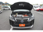 LEXUS NX300h