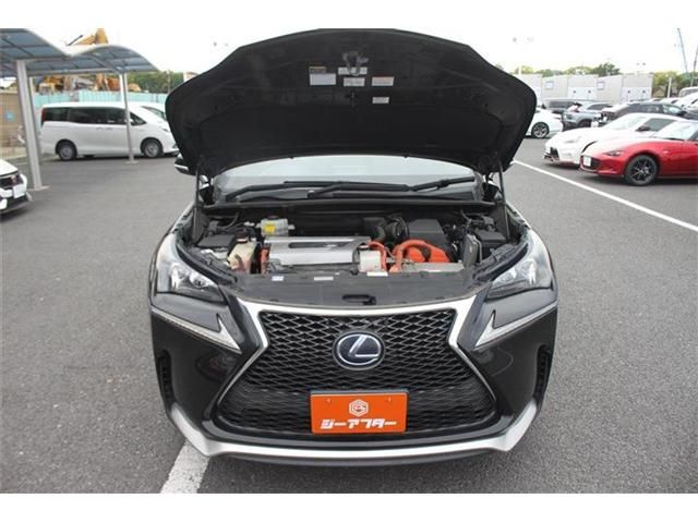 LEXUS NX300h