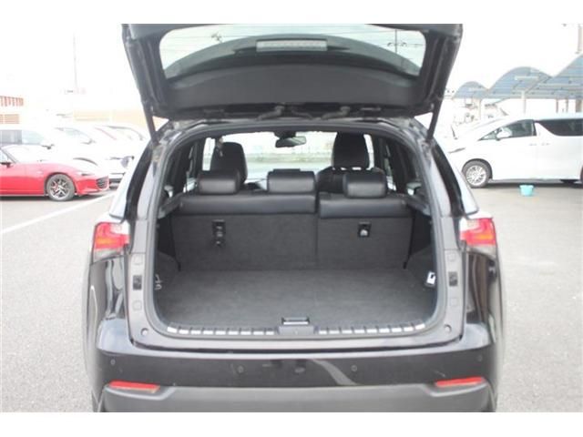 LEXUS NX300h