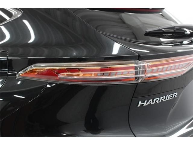 HARRIER HYBRID