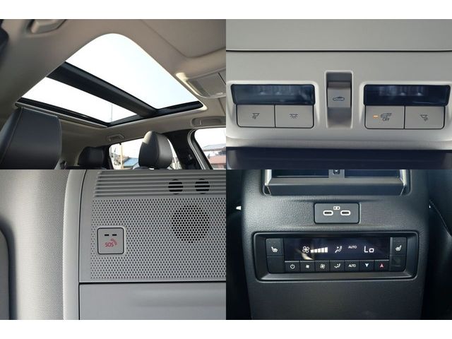 CX-80