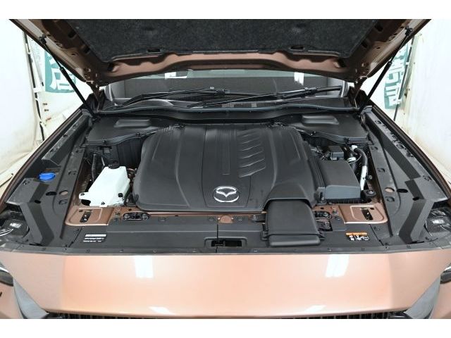 CX-80