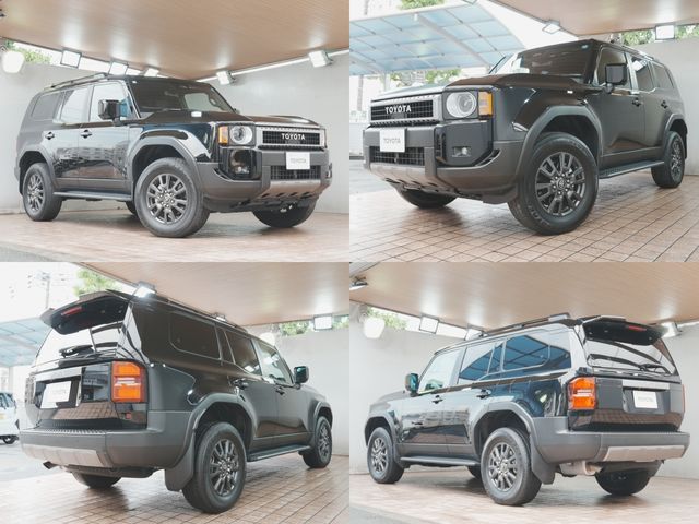 LANDCRUISER 250