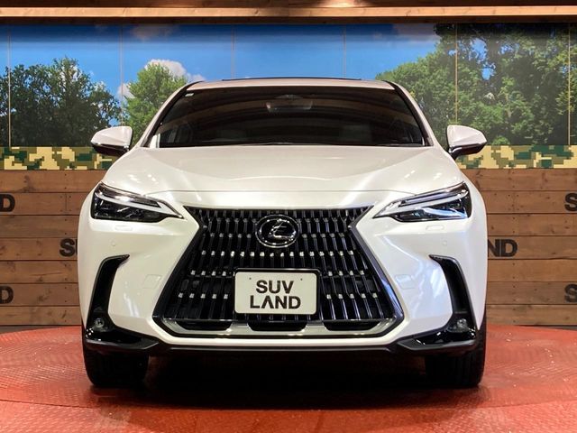 LEXUS NX450h+ AWD