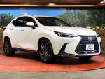 LEXUS NX450h+ AWD
