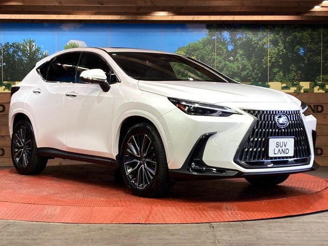 LEXUS NX450h+ AWD