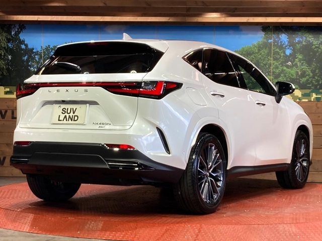 LEXUS NX450h+ AWD