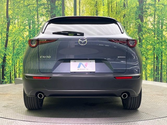 CX-30