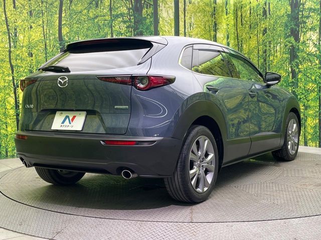 CX-30