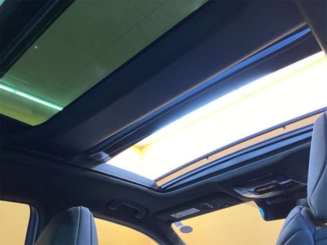 LEXUS NX350h