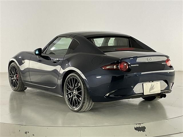 ROADSTER RF