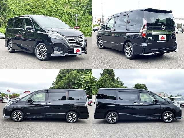 SERENA  S-HYBRID