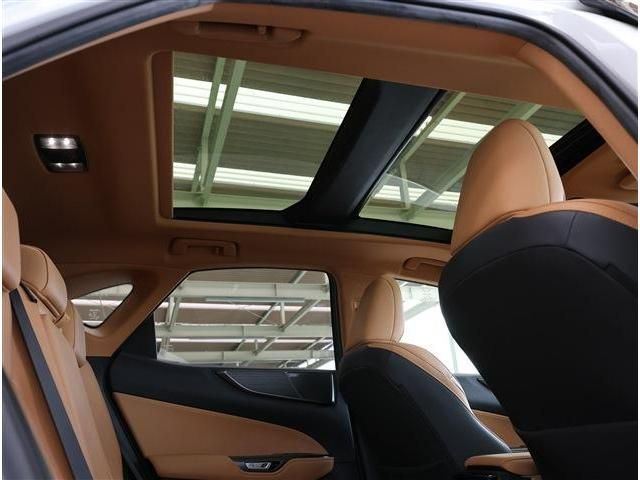 LEXUS NX350h