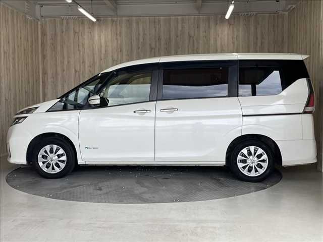 SERENA  S-HYBRID