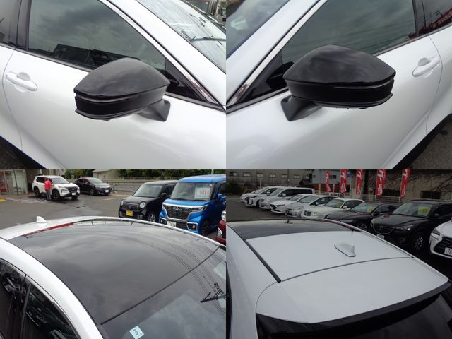 CROWN SPORT