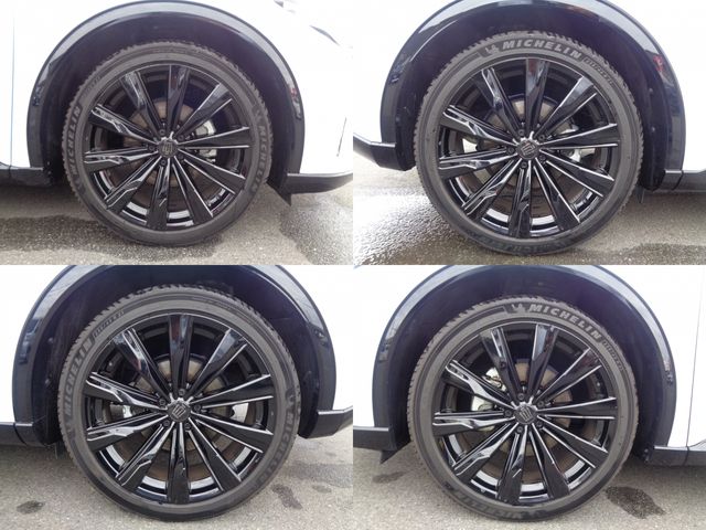 CROWN SPORT