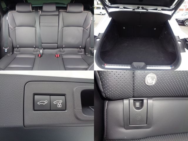 CROWN SPORT
