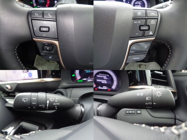 CROWN SPORT